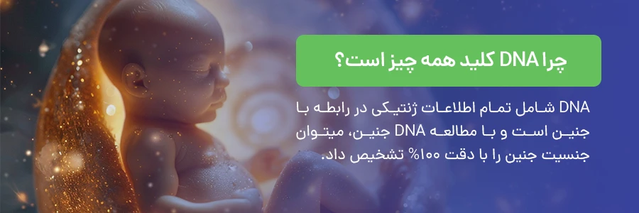 چرا DNA در تشخیص جنسیت مهم است؟